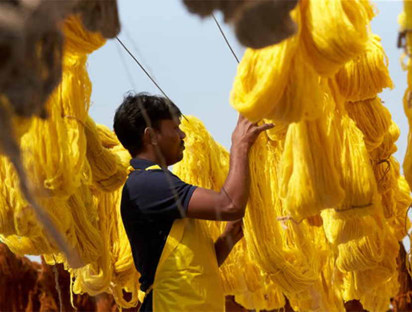 Un hombre con delantal amarillo acomodando madejas de hilo recién teñidas que cuelgan para secarse en estructuras de bambú al aire libre.